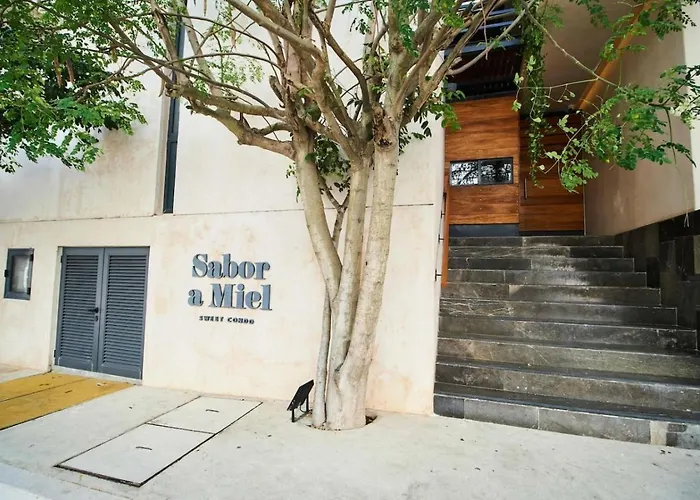 Sabor A Miel Steps From The And 5th Avenue * Playa del Carmen